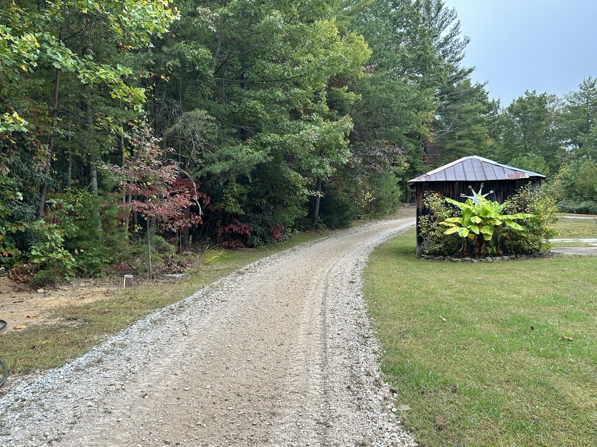 Gravel road winds through forest with small shed and autumn foliage