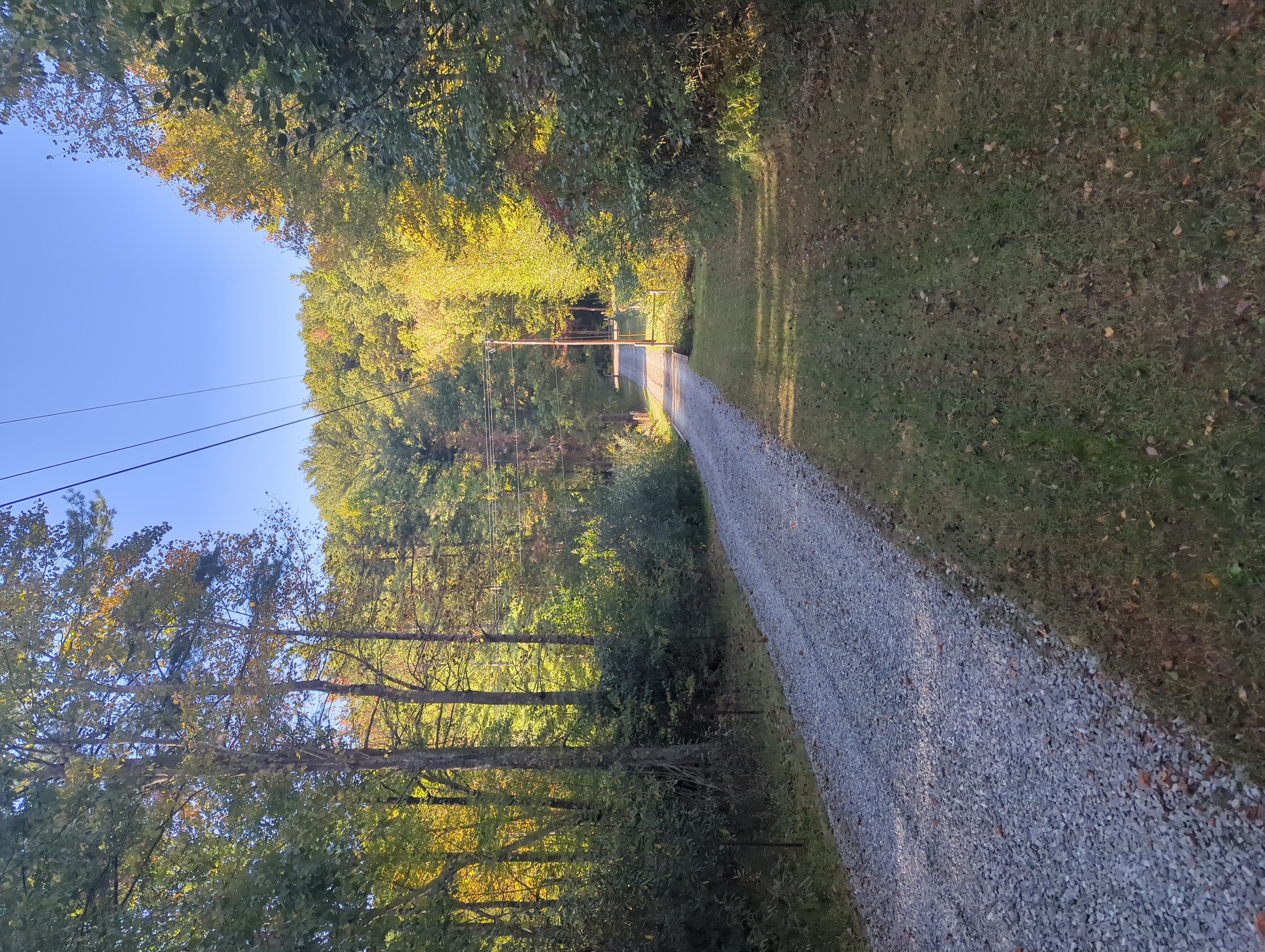Gravel road through autumn forest with power lines and golden trees