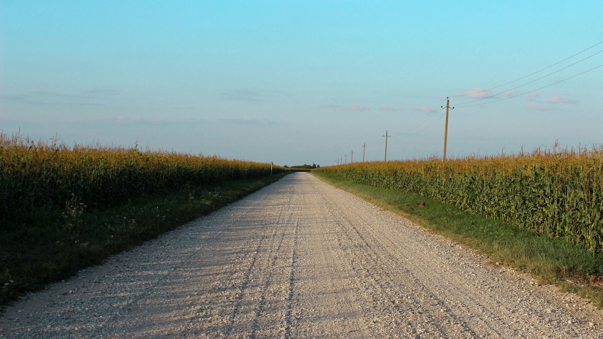 Gravel road through cornfields with power lines under blue sky